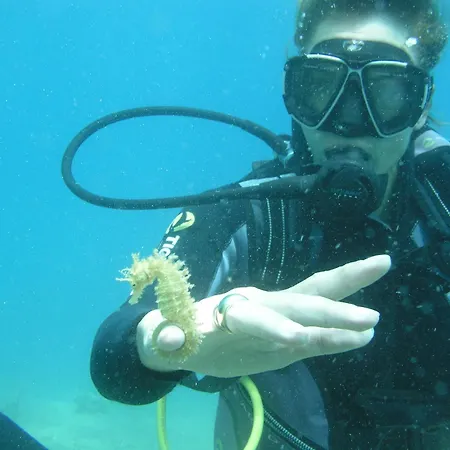 Nyaraló Limenari Modern House