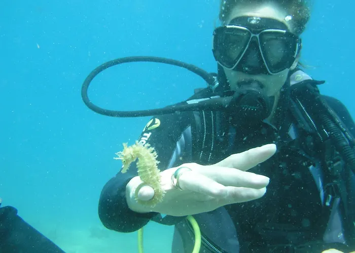 Dom wakacyjny Limenari Modern House